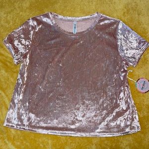 Rose Pink Velvet Short Sleeve Tee (Crop)